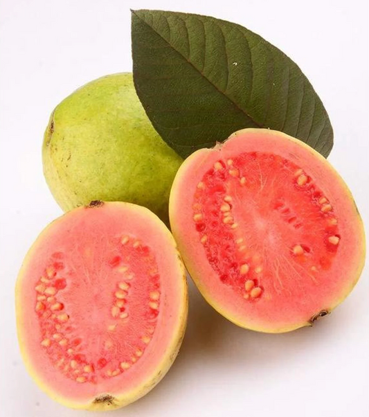 Guava Fruit Seeds