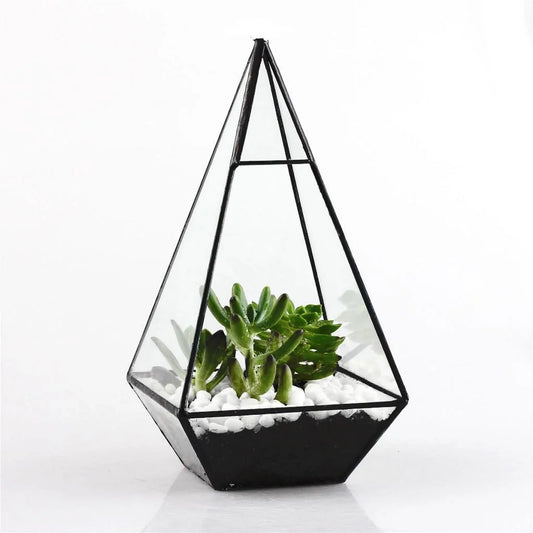 Geometric Succulents Terrarium